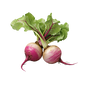 TURNIPS -200g